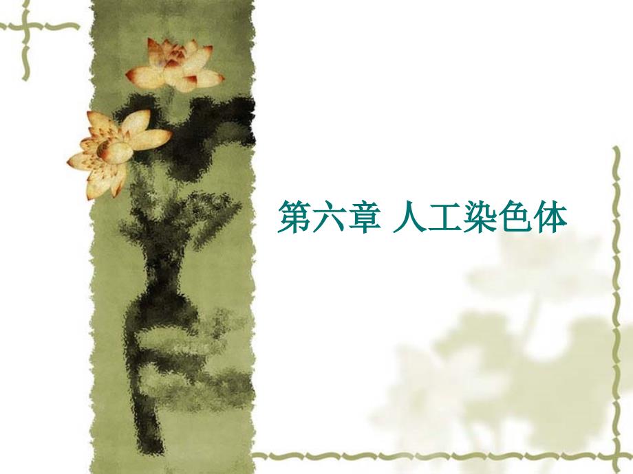 第六章人工染色体ppt课件_第1页