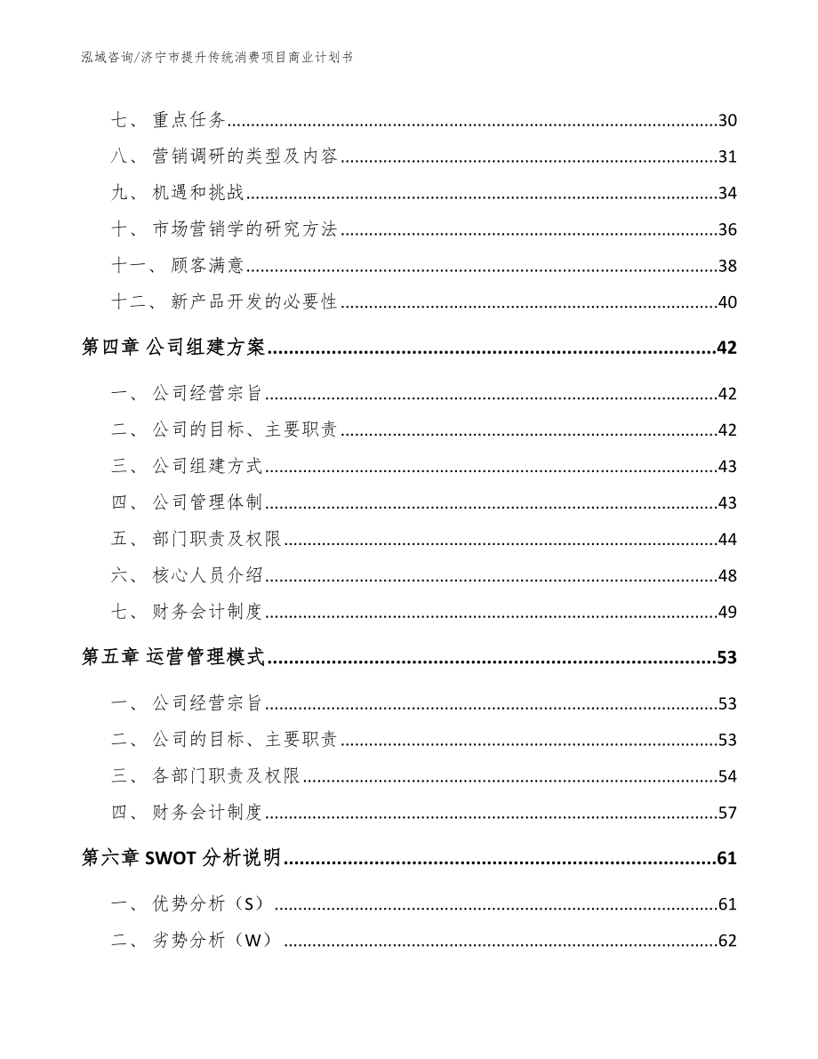 济宁市提升传统消费项目商业计划书_第3页