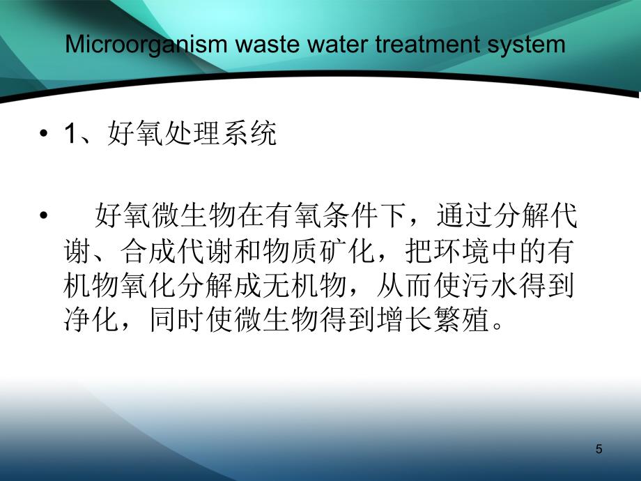 微生物污水处理_第5页