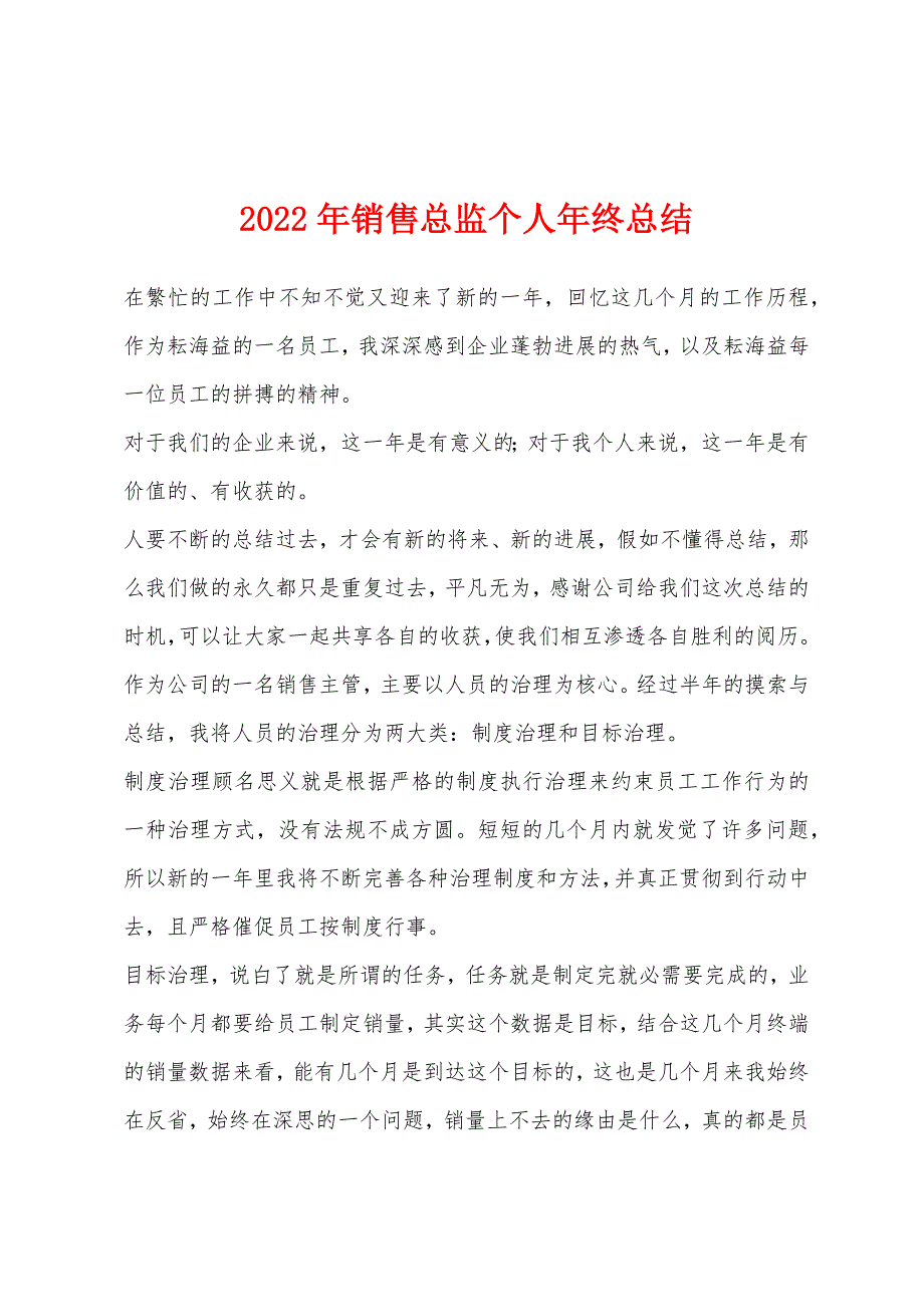 2022年销售总监个人年终总结.docx_第1页