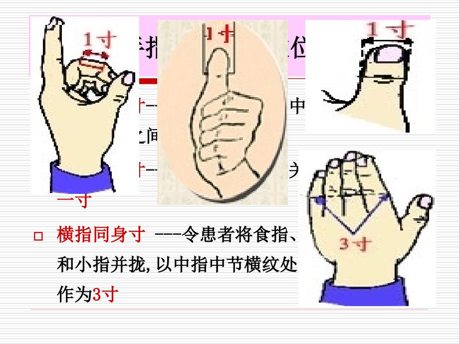 中医50常用穴位 PPT课件.ppt_第2页