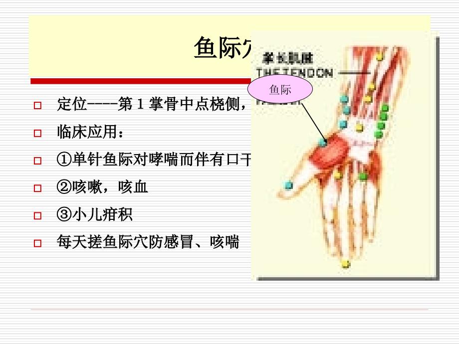 中医50常用穴位 PPT课件.ppt_第4页