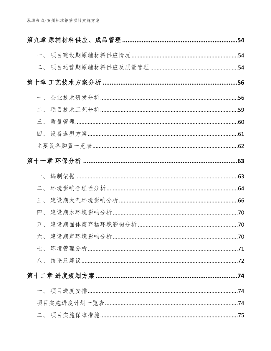 贺州标准铜箔项目实施方案范文_第3页