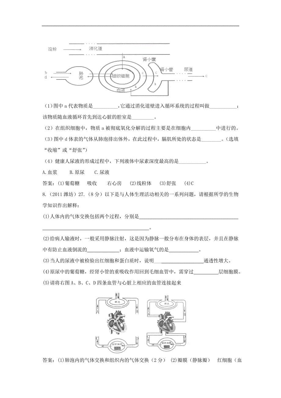 江苏省东海县中考生物一轮专题复习-八年级上册-血液循环-苏科版_第5页