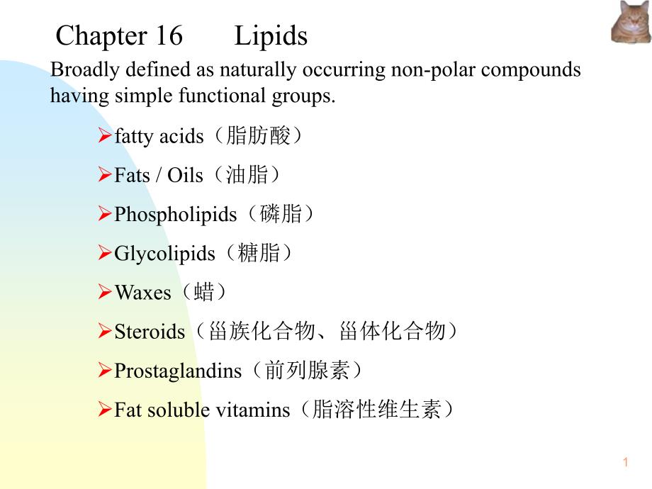 《有机化学》英文教学课件：Chap.16 lipids_第1页