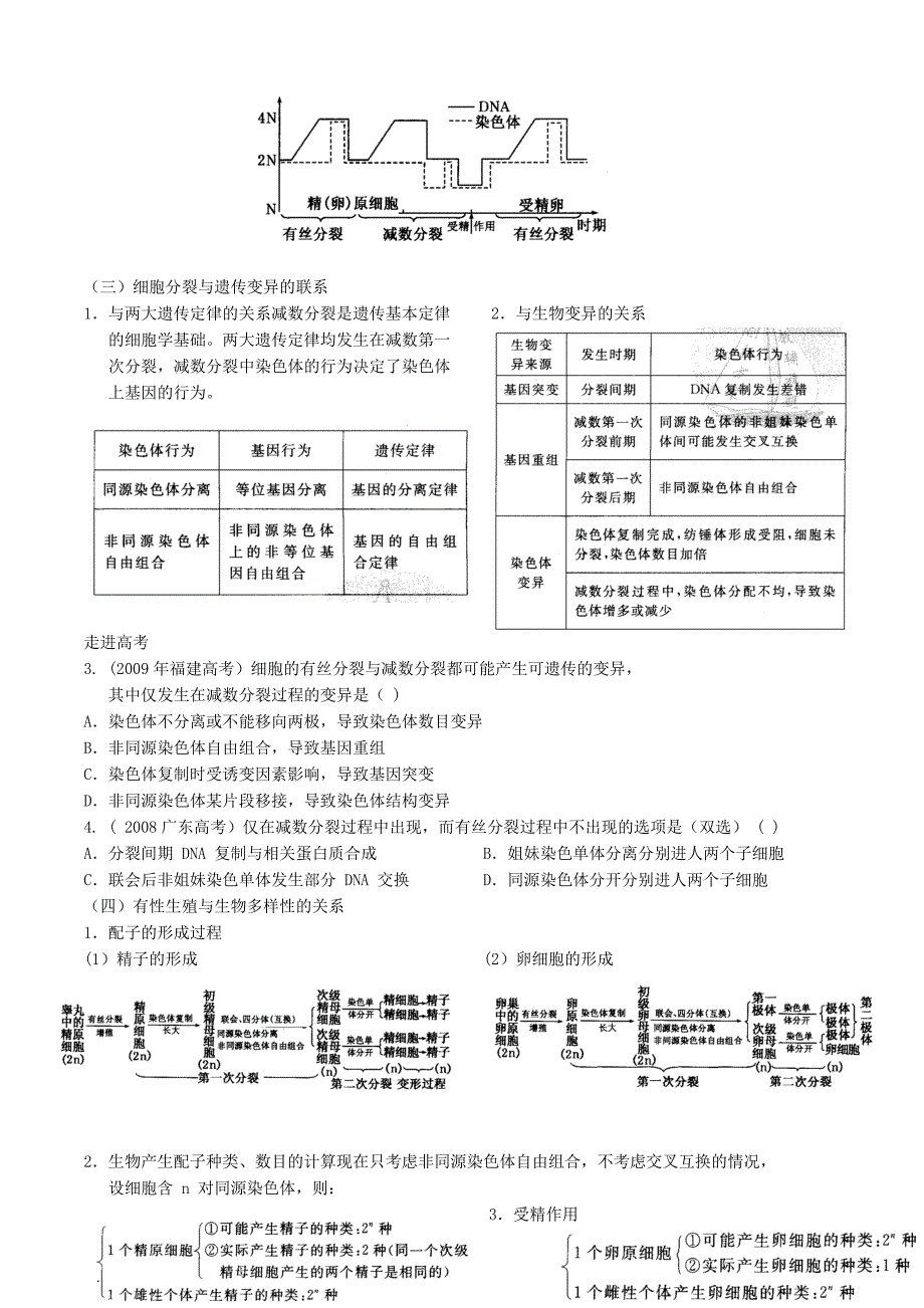 2011年高考理综生物复习专题5：细胞的生命历程_第3页