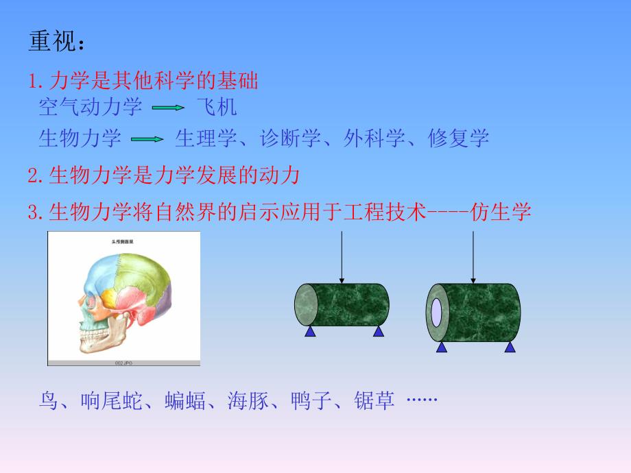 骨科生物力学概述_第3页