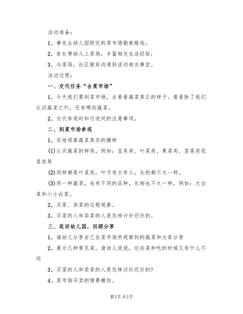 幼儿园大班实践活动方案（二篇）_第3页