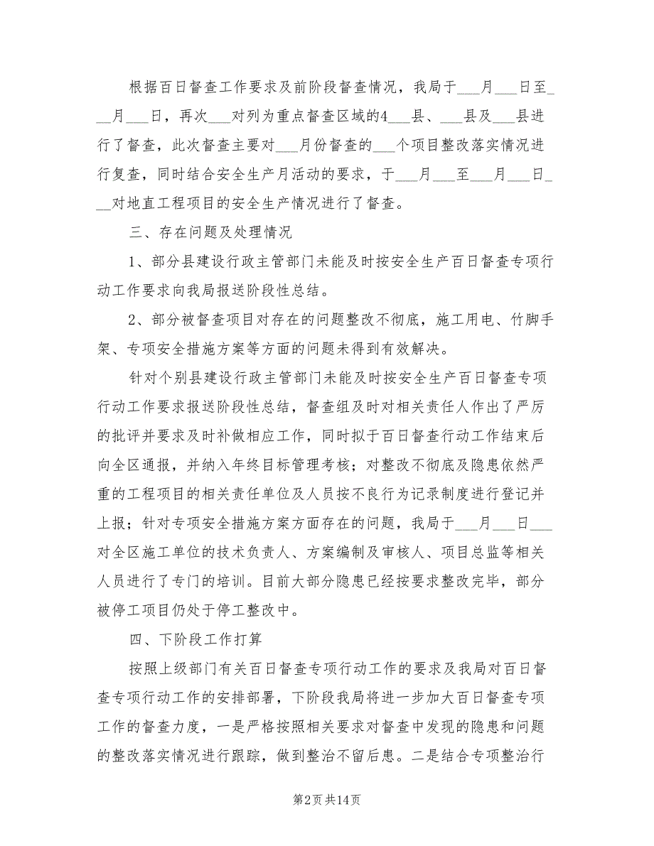 2022年安全生产百日督查总结_第2页