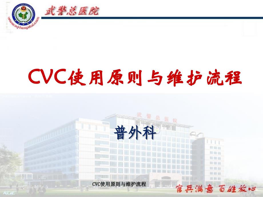 CVC使用原则与维护流程_第1页