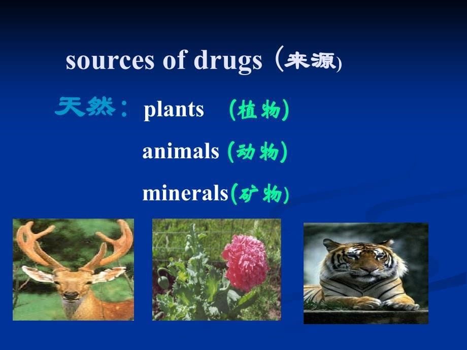 第二章___药品的分类_第5页