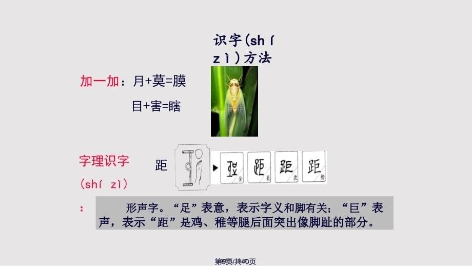 4昆虫备忘录实用教案_第5页