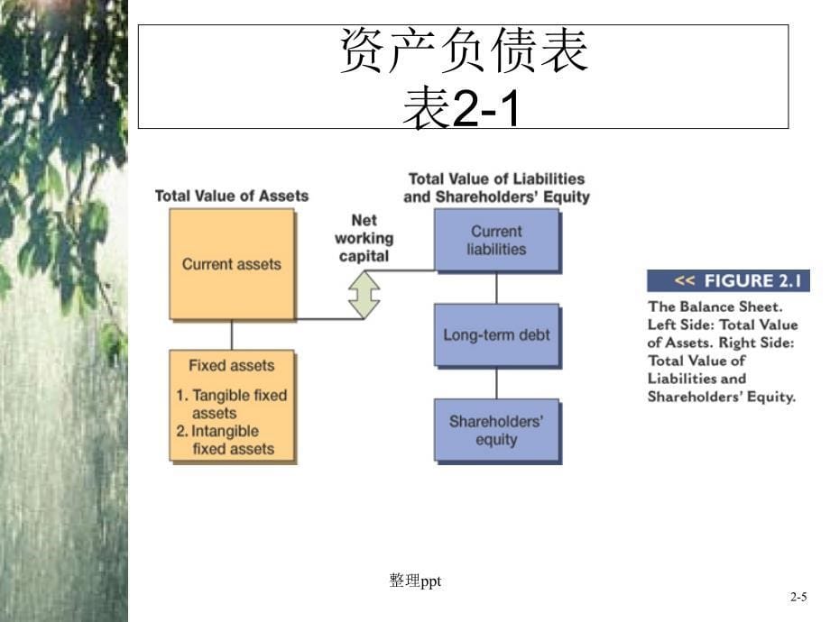 公司理财精要第十版_第5页