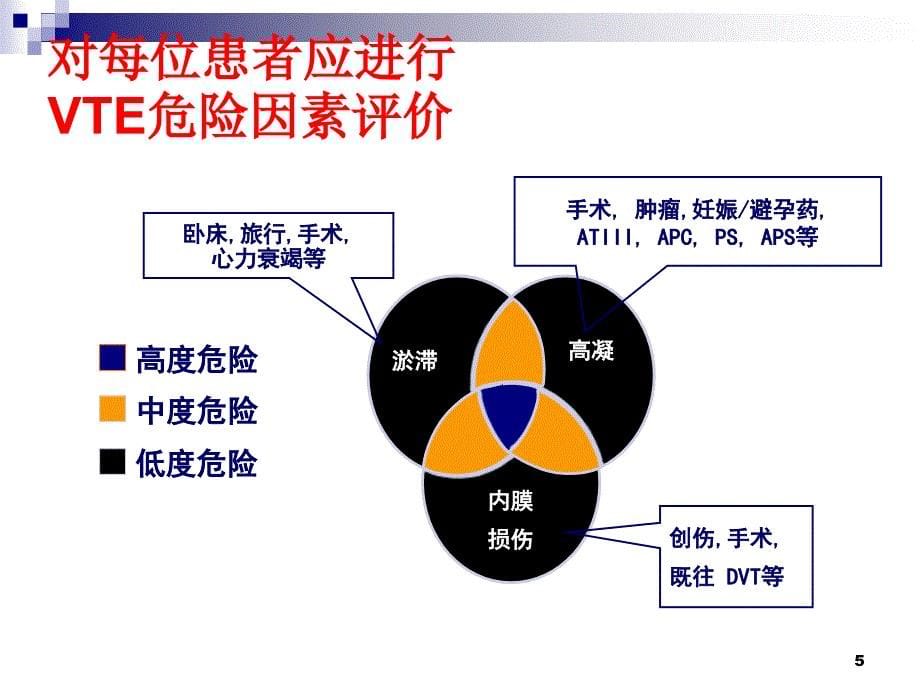 肺栓塞的诊断与预防策略PPT课件_第5页