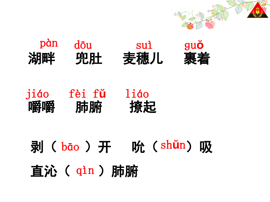 四年级下册24麦哨课件_第5页