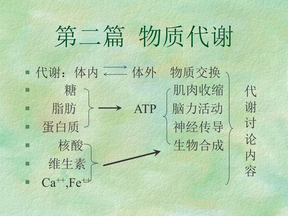 二篇物质代谢PPT课件_第2页