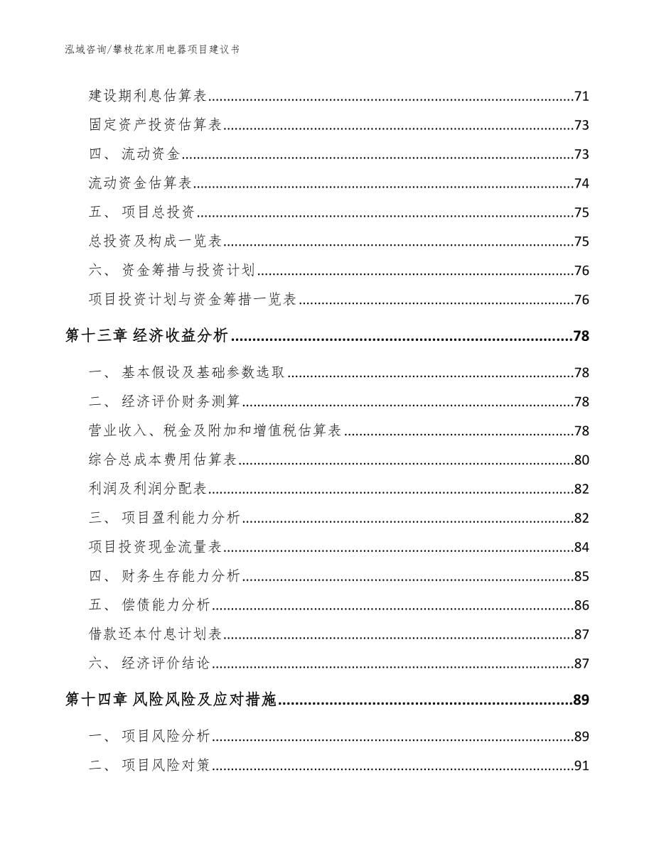 攀枝花家用电器项目建议书（模板参考）_第5页