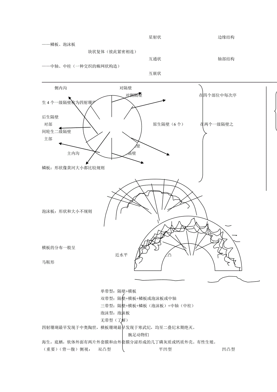 古生物地层学(资源09级)（精品）_第3页