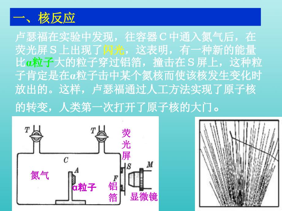 2019-2020学年高中物理 第19章 第4节 放射性的应用与防护课件 新人教版选修3-5_第2页