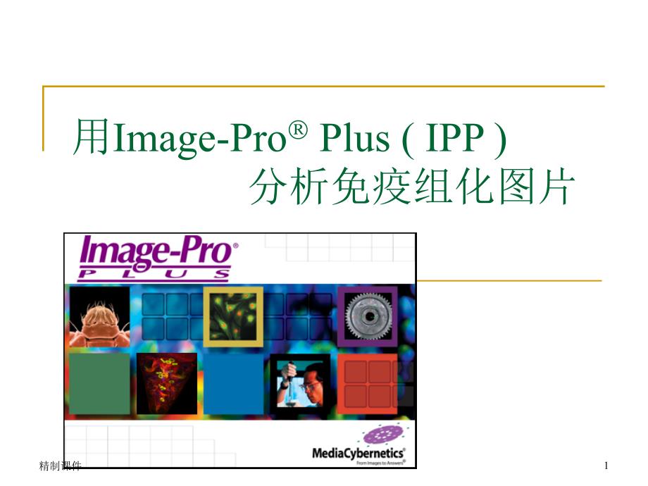 用ImagePro Plus 分析免疫组化图片（优质医学）_第1页