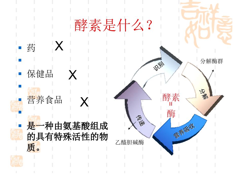 酵素演讲课件_第2页