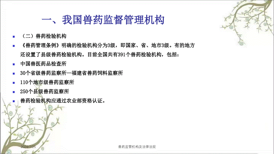 兽药监管机构及法律法规_第3页