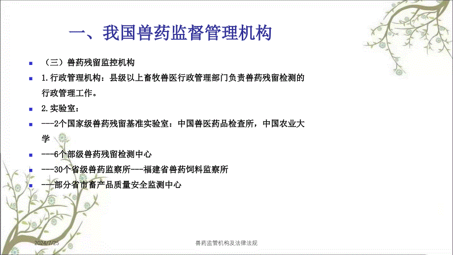 兽药监管机构及法律法规_第4页