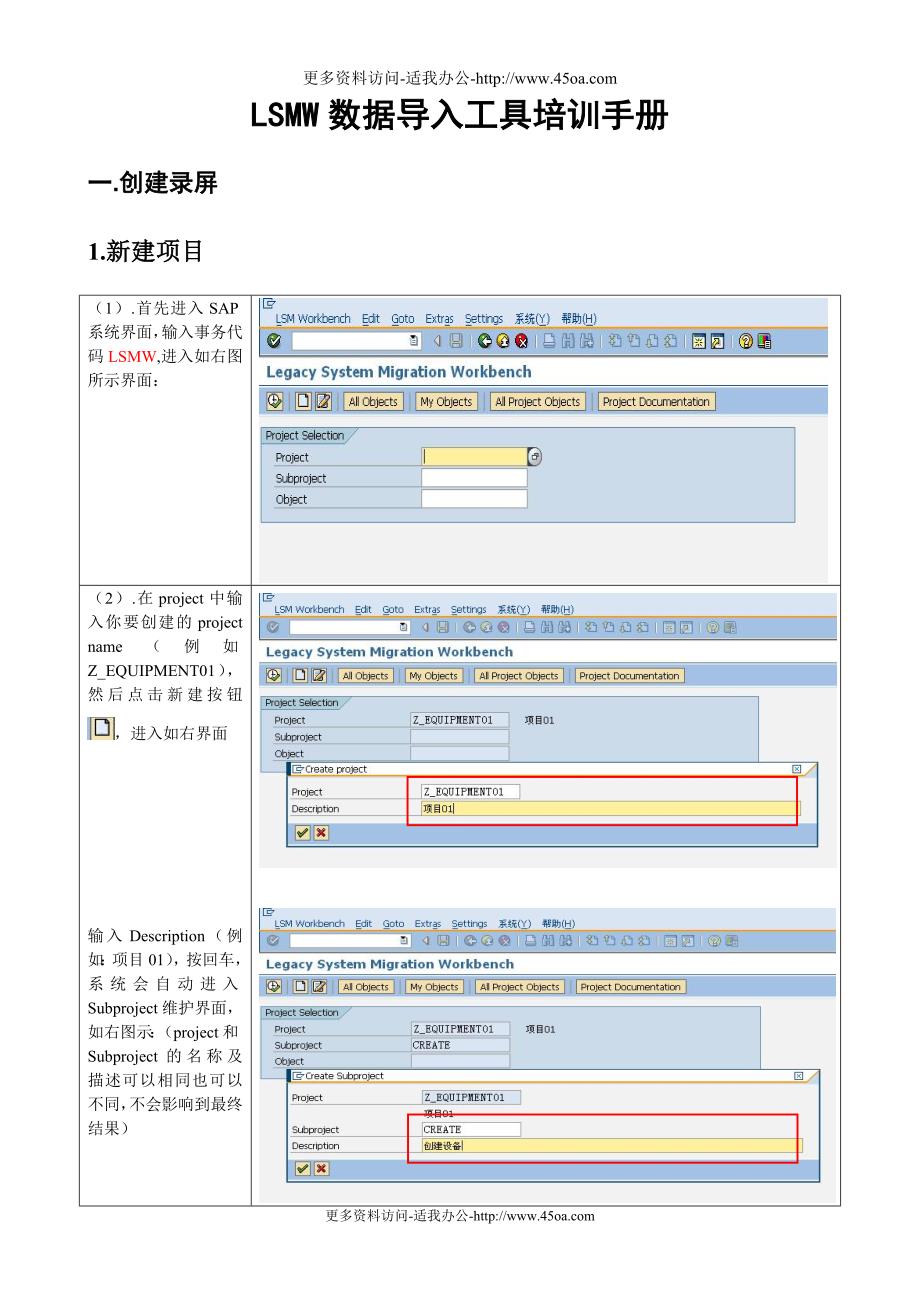 LSMW数据导入工具培训手册_第1页