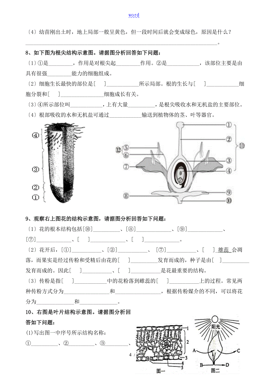 七年级生物学上册填图及探究题复习_第4页