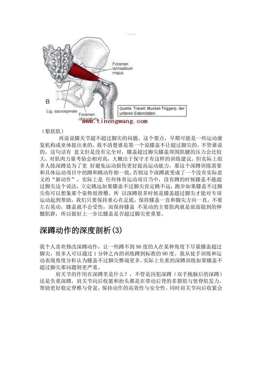 深蹲动作的深度剖析_第5页