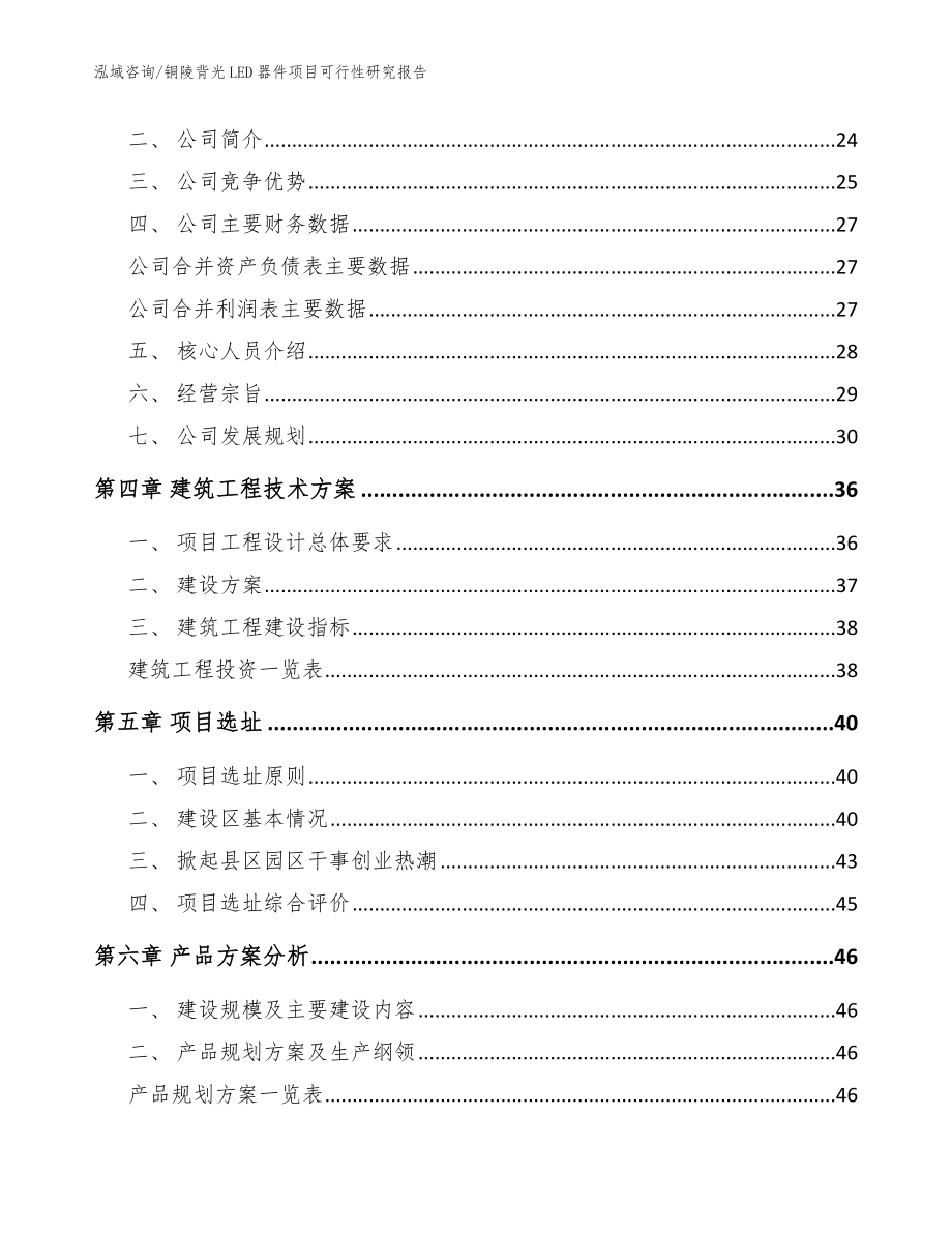 铜陵背光LED器件项目可行性研究报告参考范文_第2页
