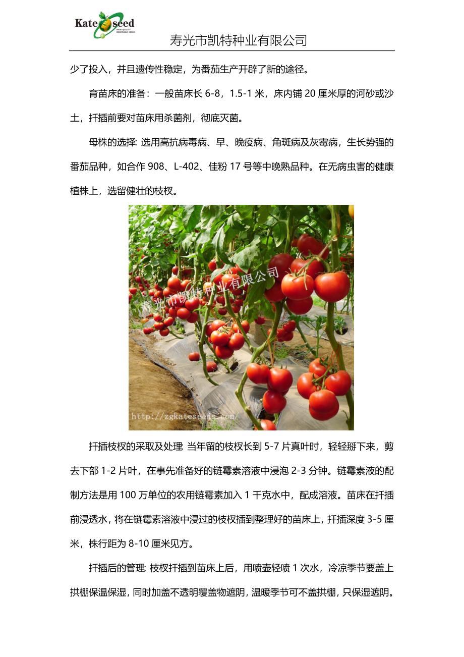 番茄种植技术完全版(三)——番茄高产、抗病性强的技巧.doc_第3页