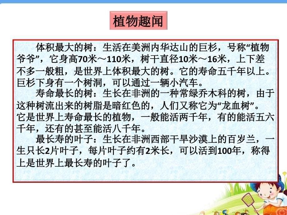 《开花结果》教学课件_第5页