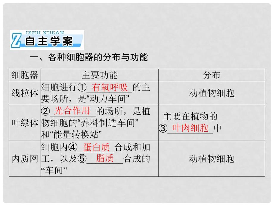 高考生物一轮总复习 第3章 第2节 细胞器 系统内的分工合作课件（必修1）_第2页