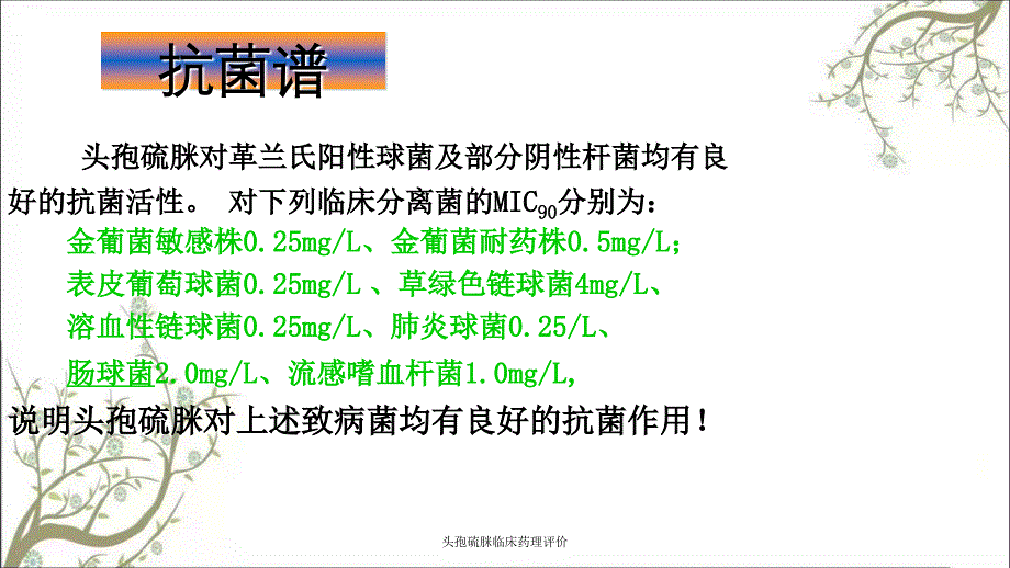 头孢硫脒临床药理评价_第4页