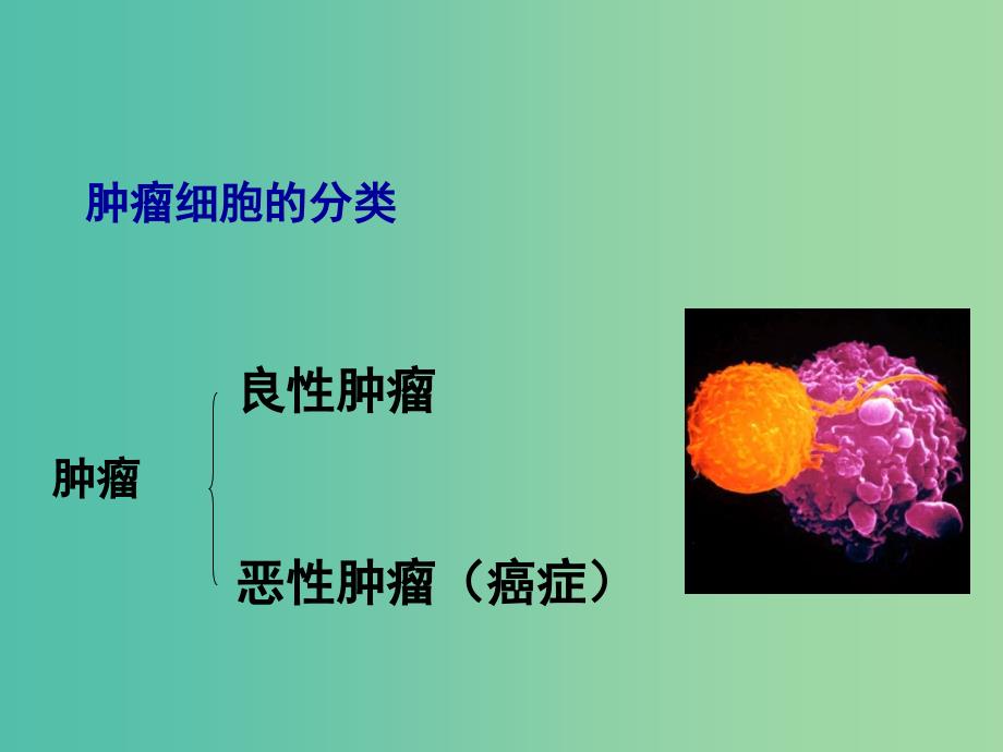 2019高中生物 专题6.4 细胞的癌变同步课件 新人教版必修1.ppt_第2页