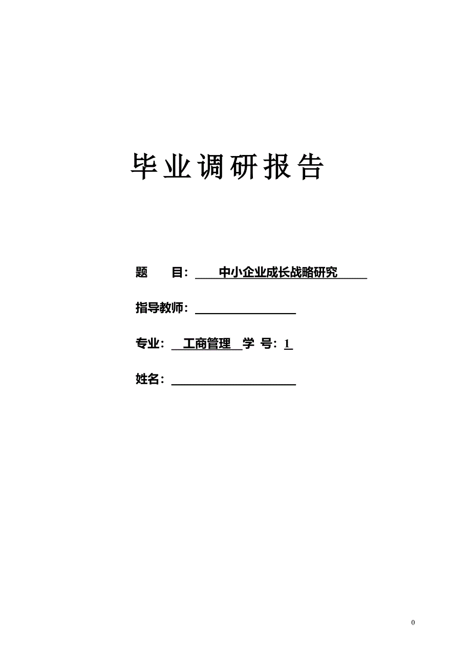 中小企业成长战略研究毕业论文.doc_第1页