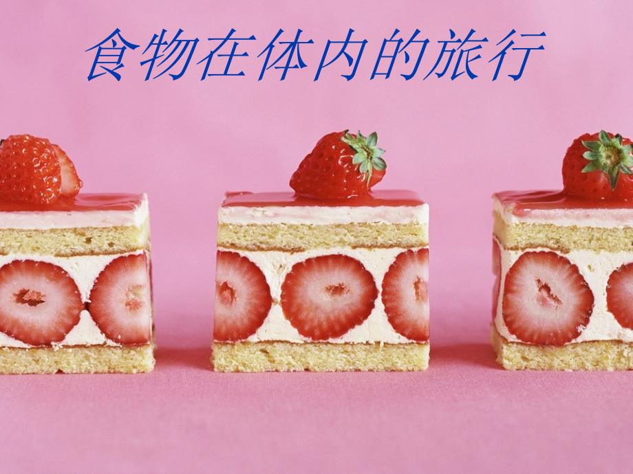食物在体内的旅行18B782_第1页