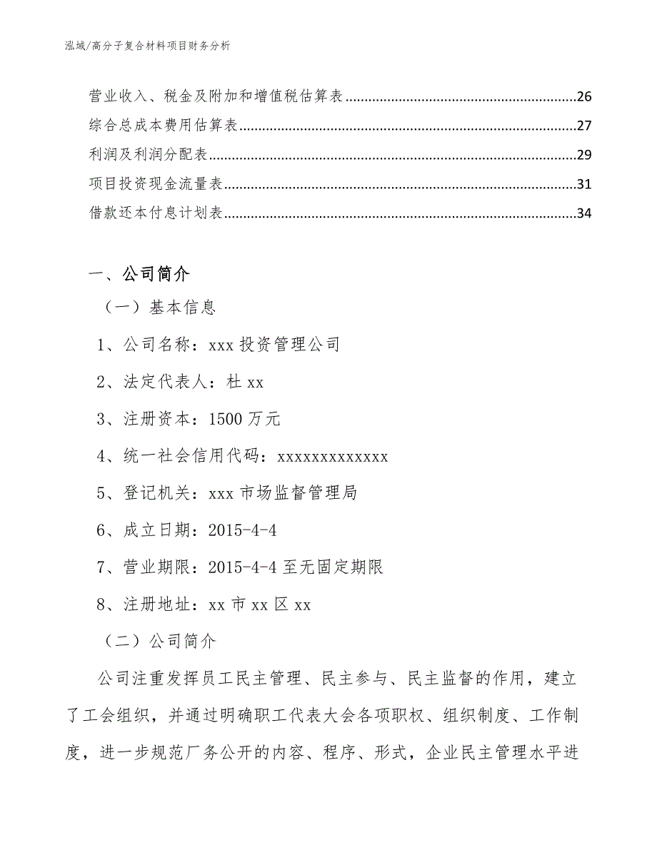 高分子复合材料项目财务分析_第2页