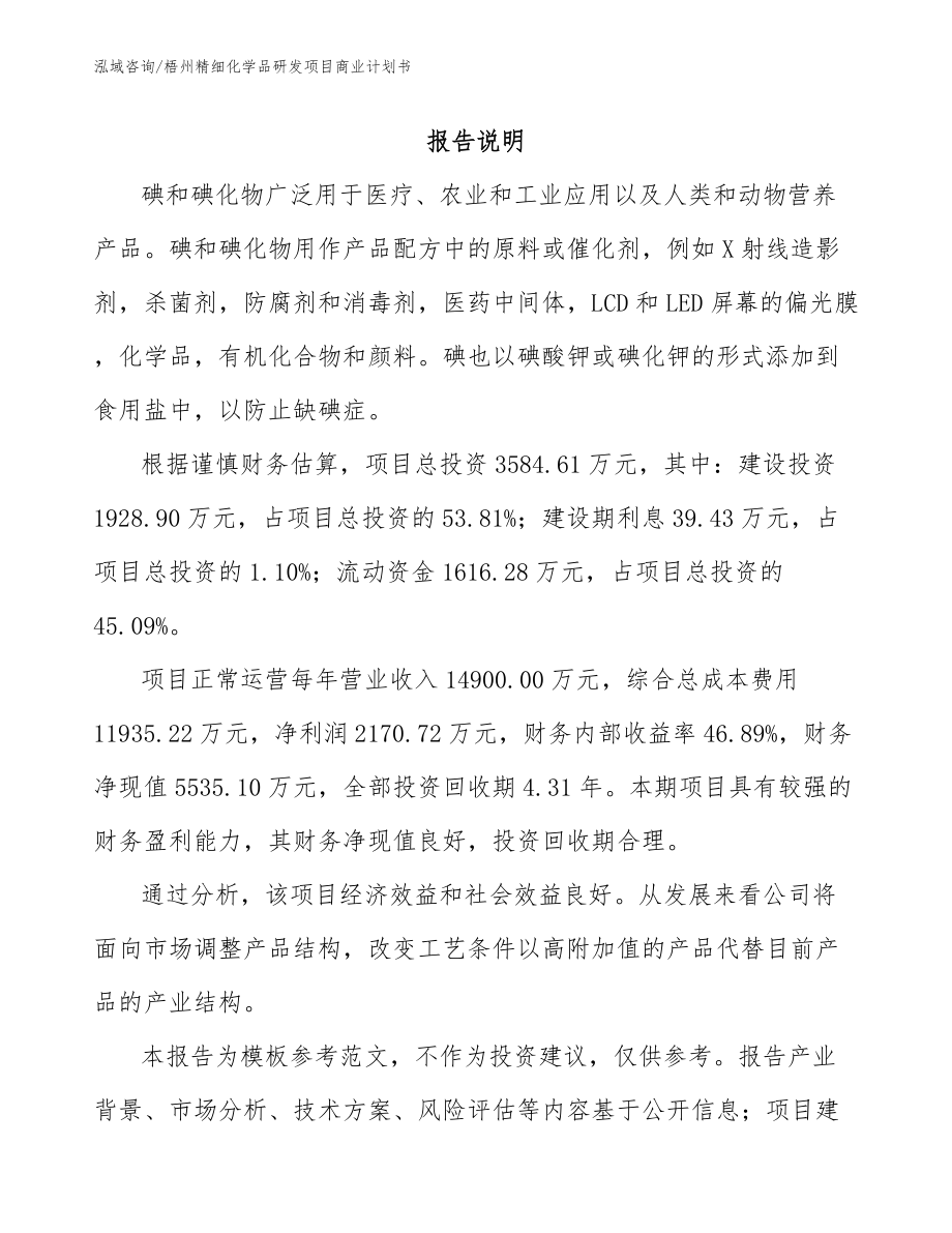 梧州精细化学品研发项目商业计划书_第2页