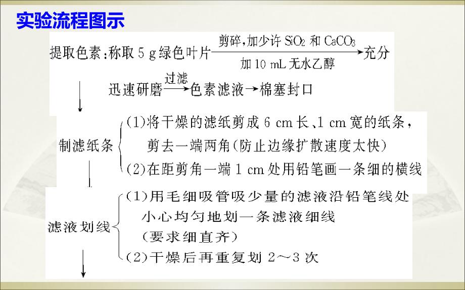 高中生物必修一第五章第四节光合作用课件_第3页