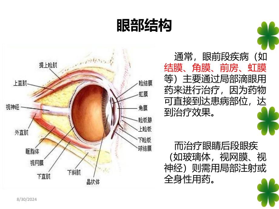 如何正确使用眼部外用制剂_第2页