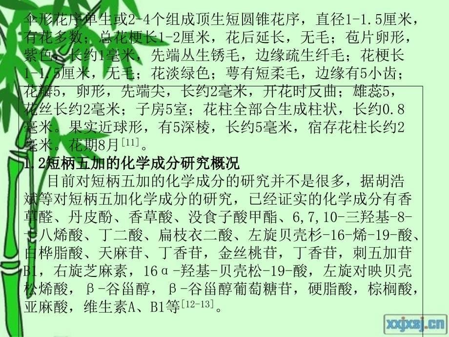 短柄五加祛风湿酒加工工艺初探PPT课件_第5页