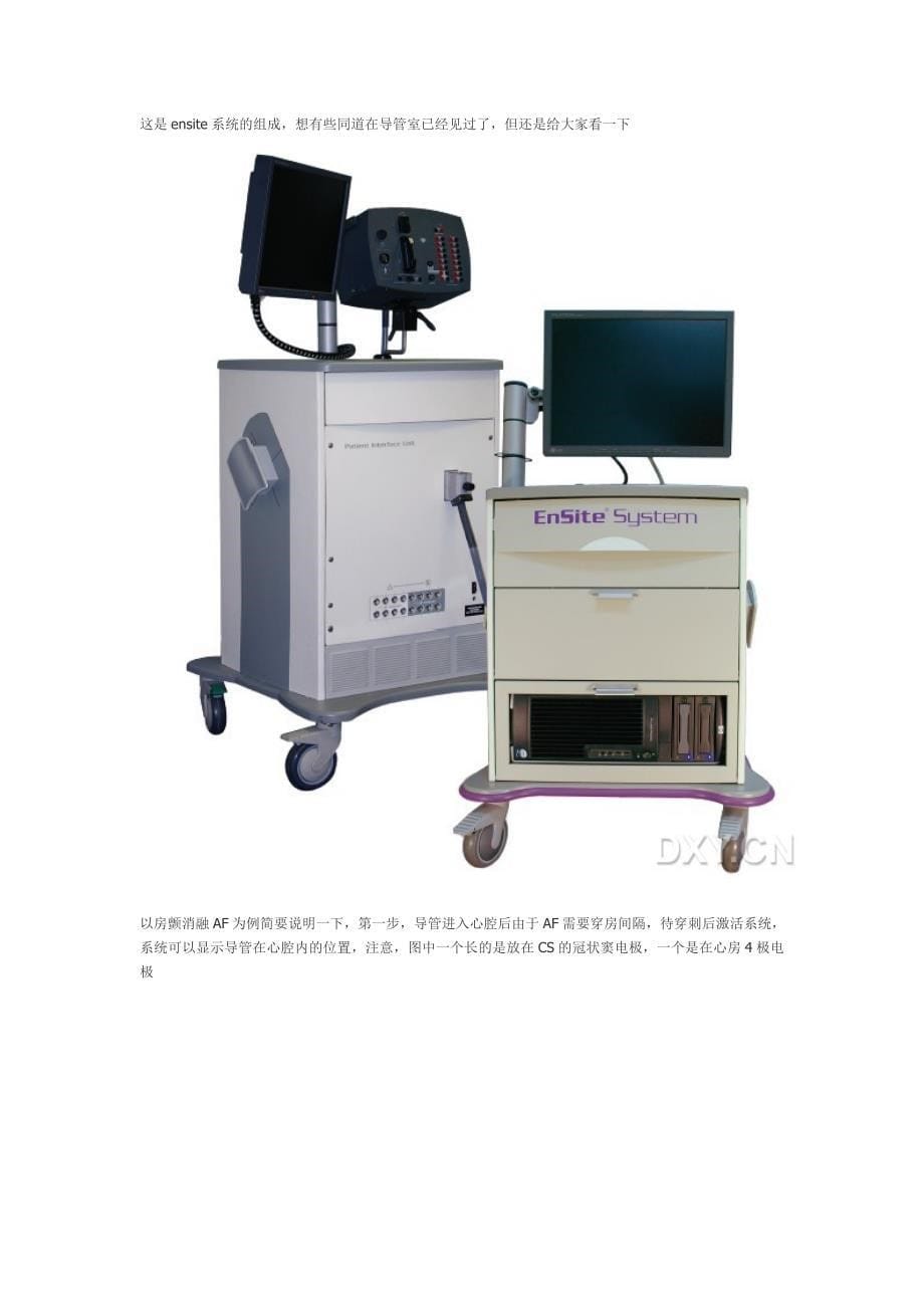 电生理基础知识_第5页