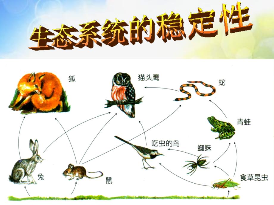 苏教小学科学六下《4.4.生态平衡》PPT课件 (3)_第2页