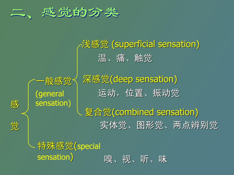 神经系统的解剖生理及病损的定位诊断_第4页