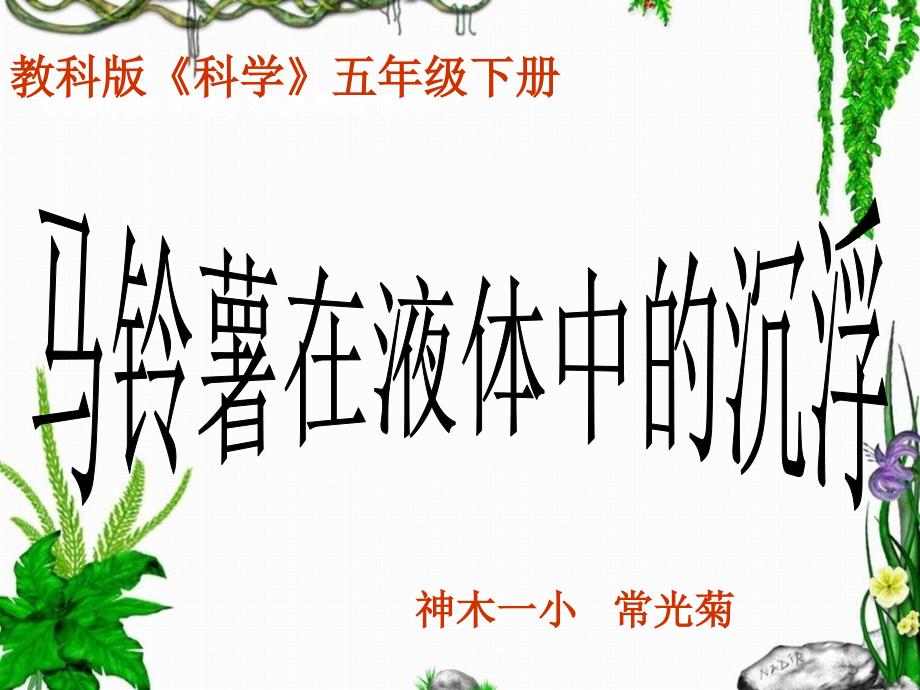 《马铃薯在液体中的沉浮》教学课件_第2页