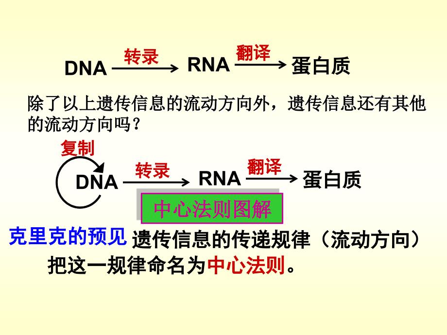 生物学②必修4[1]2《基因对性状的控制》PPT课件_第3页