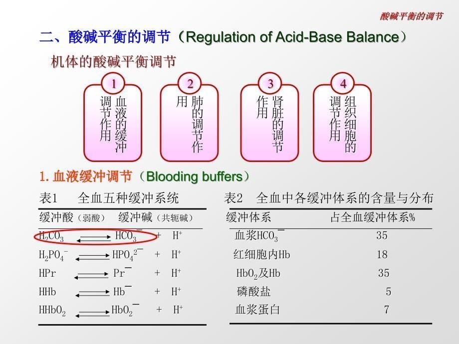 病理生理学课件------酸碱平衡紊乱_第5页