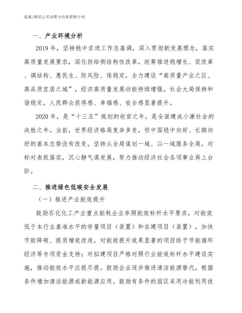 烯烃公司治理与内部控制计划_第4页